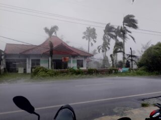 Hujan Deras Robohkan Pohon Besar di Beberapa Wilayah di Kabupaten Lebak